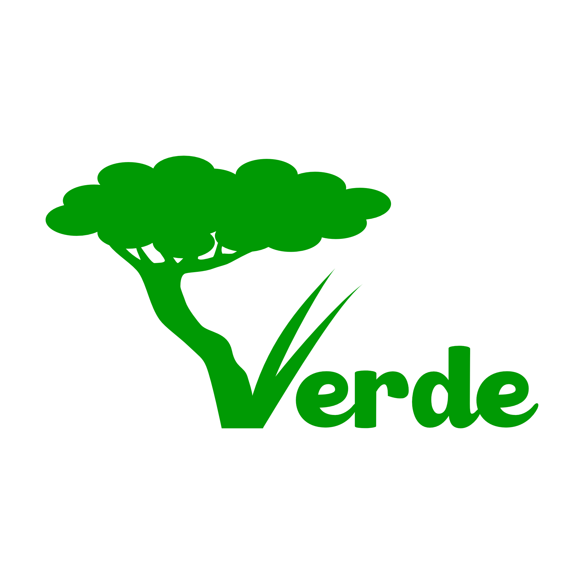 Verde Project
